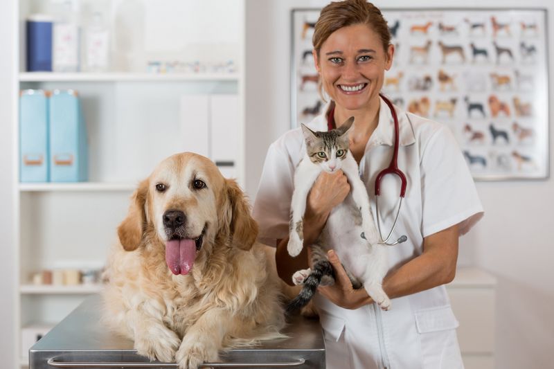 Проверьте расписание работы ветеринарной клиники